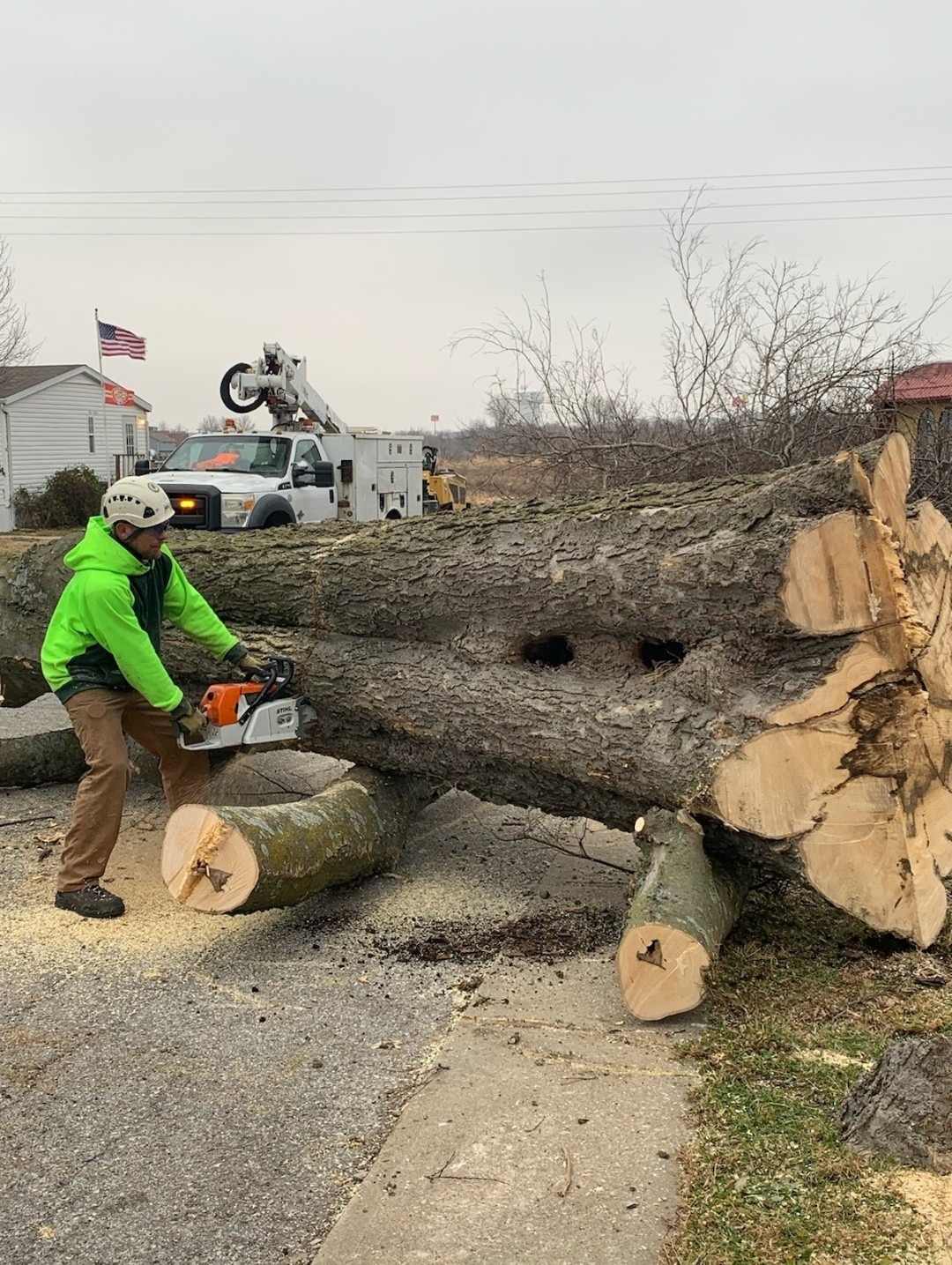Abe's Tree Service gallery 6