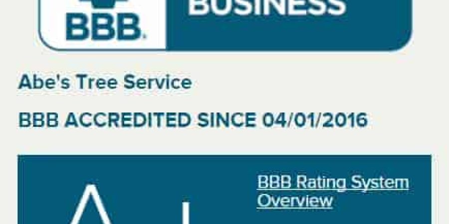 BBB - Only A+ Rated Tree Service in Wichita